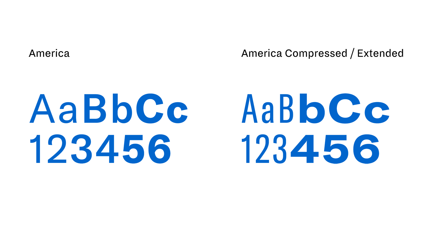 Showing the Coast Guard Foundation website typographic palette, consisting of GT America, GT America Compressed, and GT America Extended