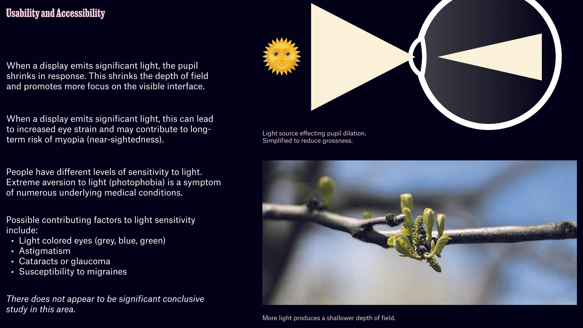 Slide text: Usability and accessibility. Slide discussing the physical effects of darker vs lighter stimuli on the human eye and potential for lighter stimuli to lead to fatigue or decreased focus. Slide acknowledges lack of scientific study.